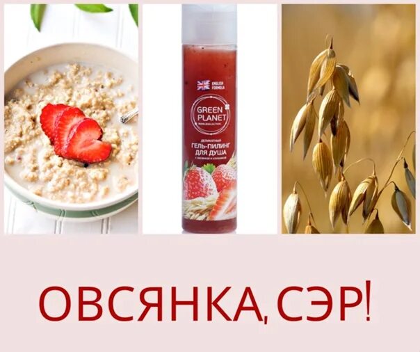День овсянки 29 октября картинки. Праздник овсянки. Всемирный день овсянки. День овсянки 29 октября картинки. День овсянки 29 октября картинки.