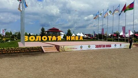 Золотая нива даты