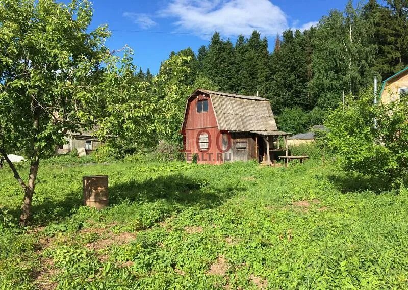 Пермский край, нытвенский г. Урал дача лесная 1. Снт политехник пермь. Снт липогорец 2 пермь. Снт политехник нижний новгород.