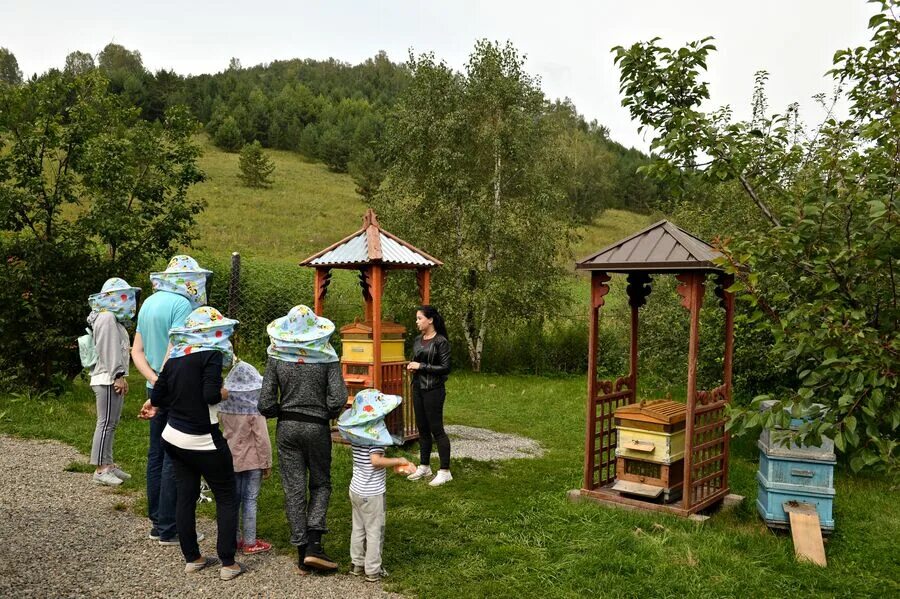 Мёдом в ухо пасека горный алтай. Алтай пасека бирюзовая катунь. Медом в ухо бирюзовая катунь. Медом в ухо бирюзовая катунь. Медом в ухо бирюзовая катунь.