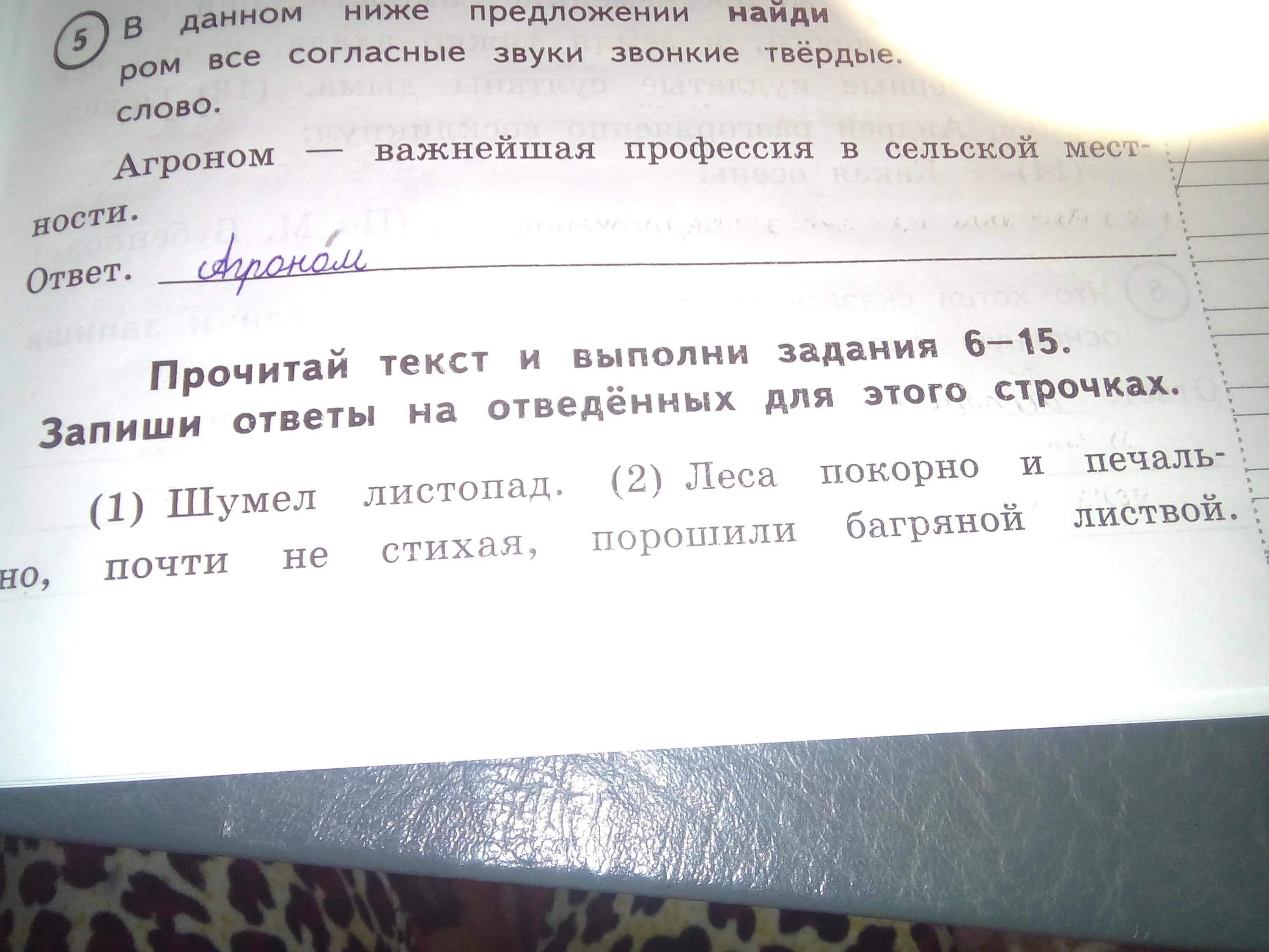 Определи тип прочитанного текста запиши ответ. Задать вопрос по тексту. задай по содержанию текста вопрос. задай по тексту вопрос который поможет определить. ответь на вопросы по содержанию текста.