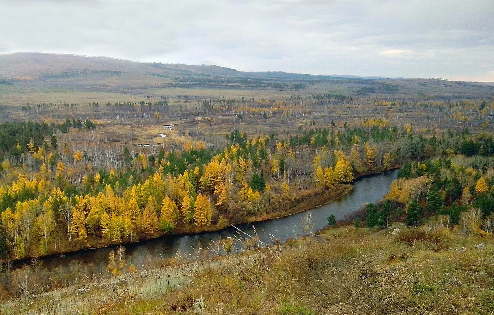 Река ингода чита. Природа забайкальского края фото. Природа забайкальского края. Берег реки ингода забайкальский край. Тайга забайкальского края.