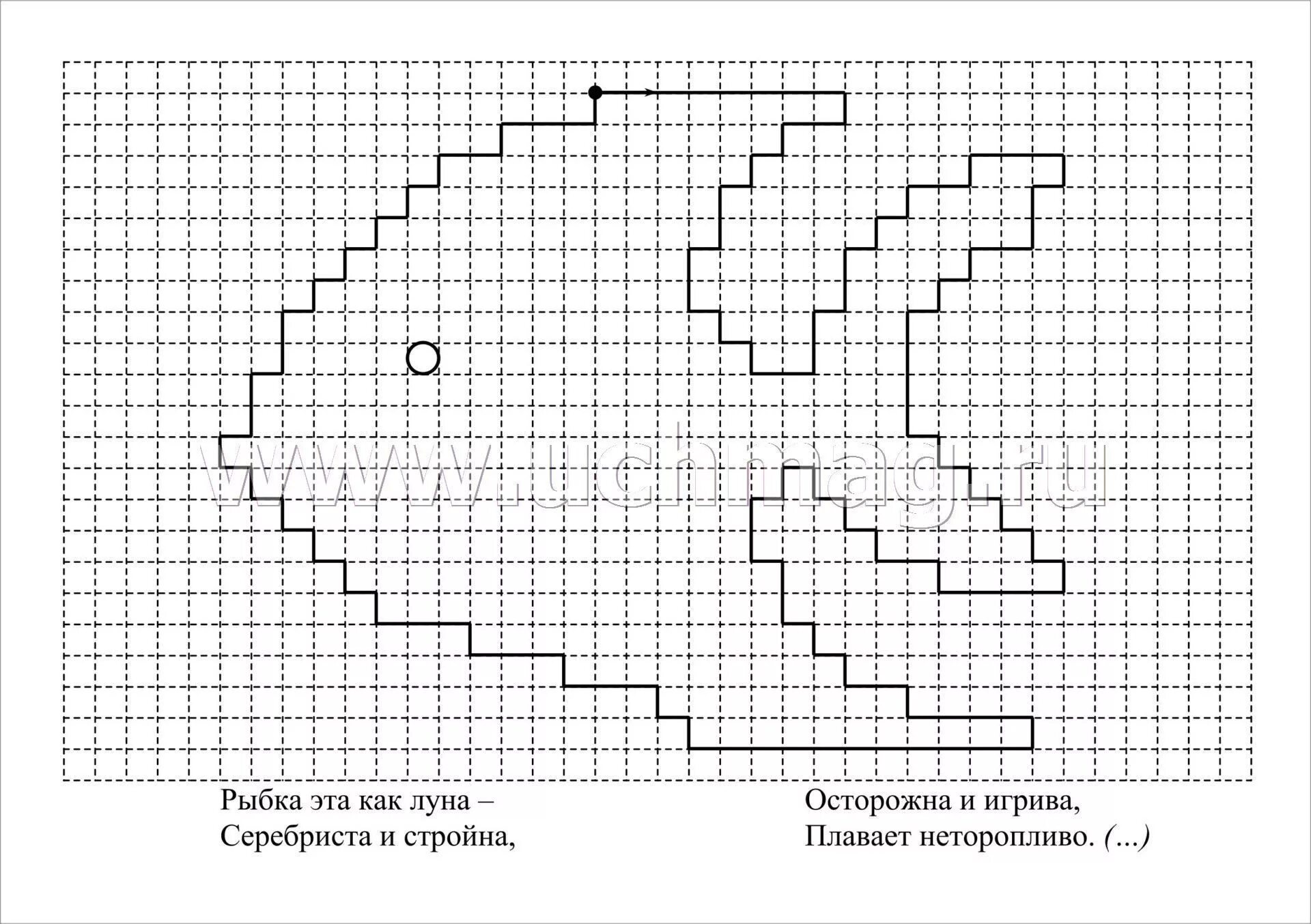Графический диктант рыба. Рисование по клеточкам рыбка для детей. Рисунки по клеточкам рыба. Графическое рисование по клеткам рыба