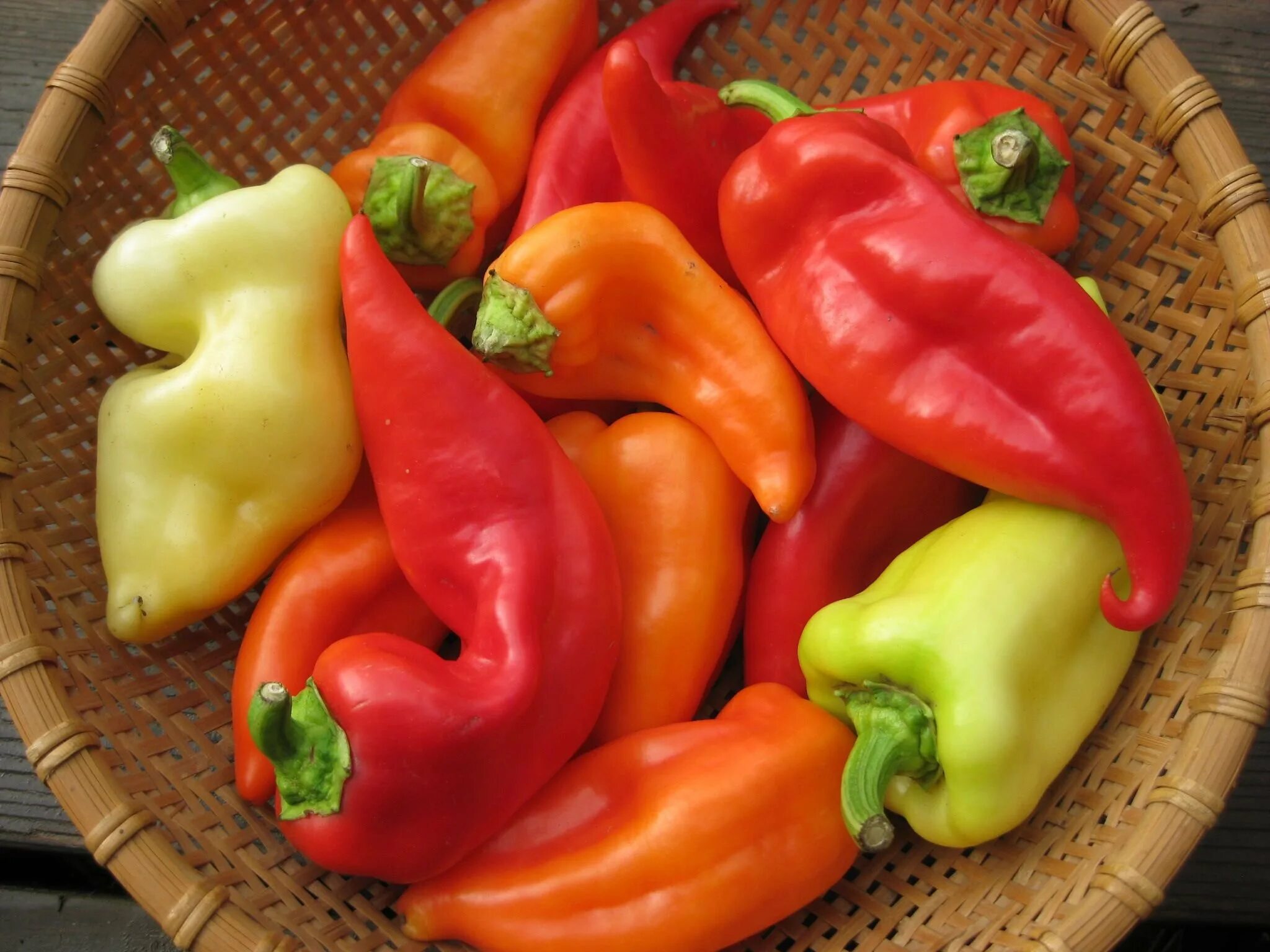 Good pepper. Перец сладкий испанский verano. Перец Capsicum annuum сладкий. Перец сладкий Ариэль. Болгарский перец сорт паприка.