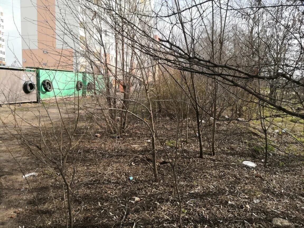 В северном нет света воронеж сегодня. Окраины воронежа. управляющая компания шилово воронеж междуреченская. окраины воронежа фотоотчет. на окраине воронежа автоотдых.