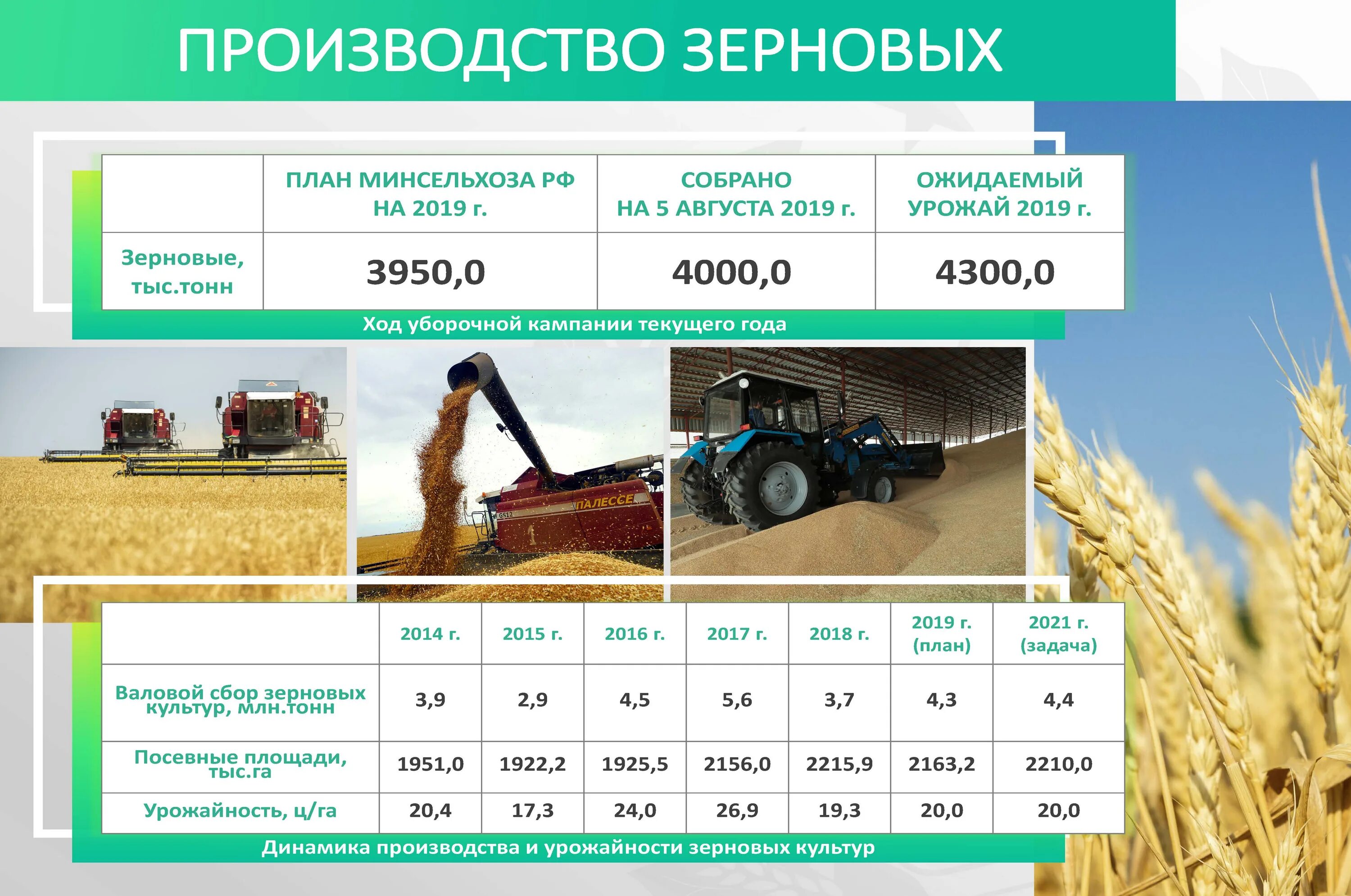 Агропромышленный комплекс Волгоградской области. Производство зерна. Урожайность зерновых в России в 2021. Урожай зерновых в России динамика. Урожайность 2021