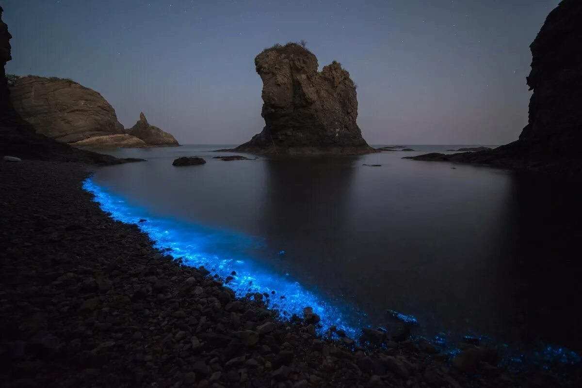 Светящаяся вода ночью. Море фосфорится ночью в Крыму. Водоросль ночесветка черное море. Черное море фосфорится в Крыму. Фосфорицирующее Азовское море-.