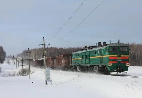 Коноша вельск