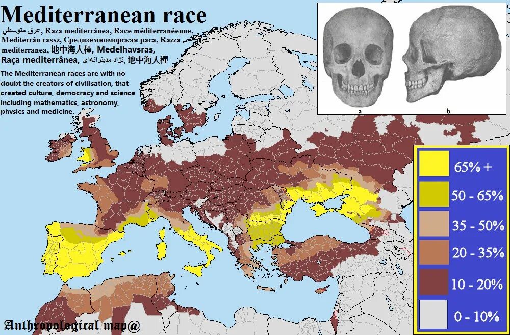 Ареалы распространения человеческих рас. Расы Европы карта. Карта европейских расовых типов. Средиземноморская раса распространение. Расовые типы Европы карта.