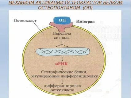 Механизм активации