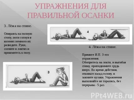 4 6 раз 3 лежа