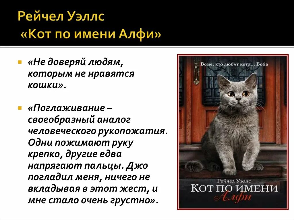 Книги человек человеку кот. Рэйчел Уэллс кот по имени Алфи. Клички для котов. Книга кот по имени Алфи. Рейчел Уэллс книги про Алфи.