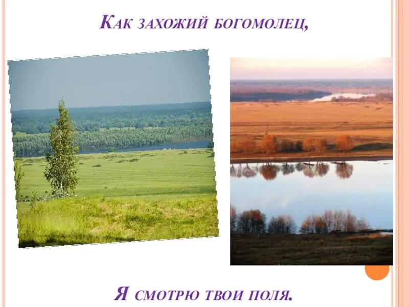 Как захожий богомолец я смотрю твои поля. Захожий богомолец. как захожий богомолец я. стихотворение есенина ..как захожий богомолец я смотрю твои поля.
