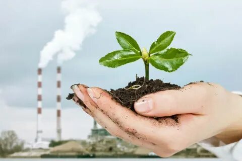 Individuals and the environment