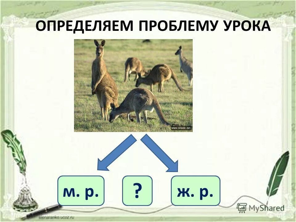 Признаки имени существительного 3 класс загадка