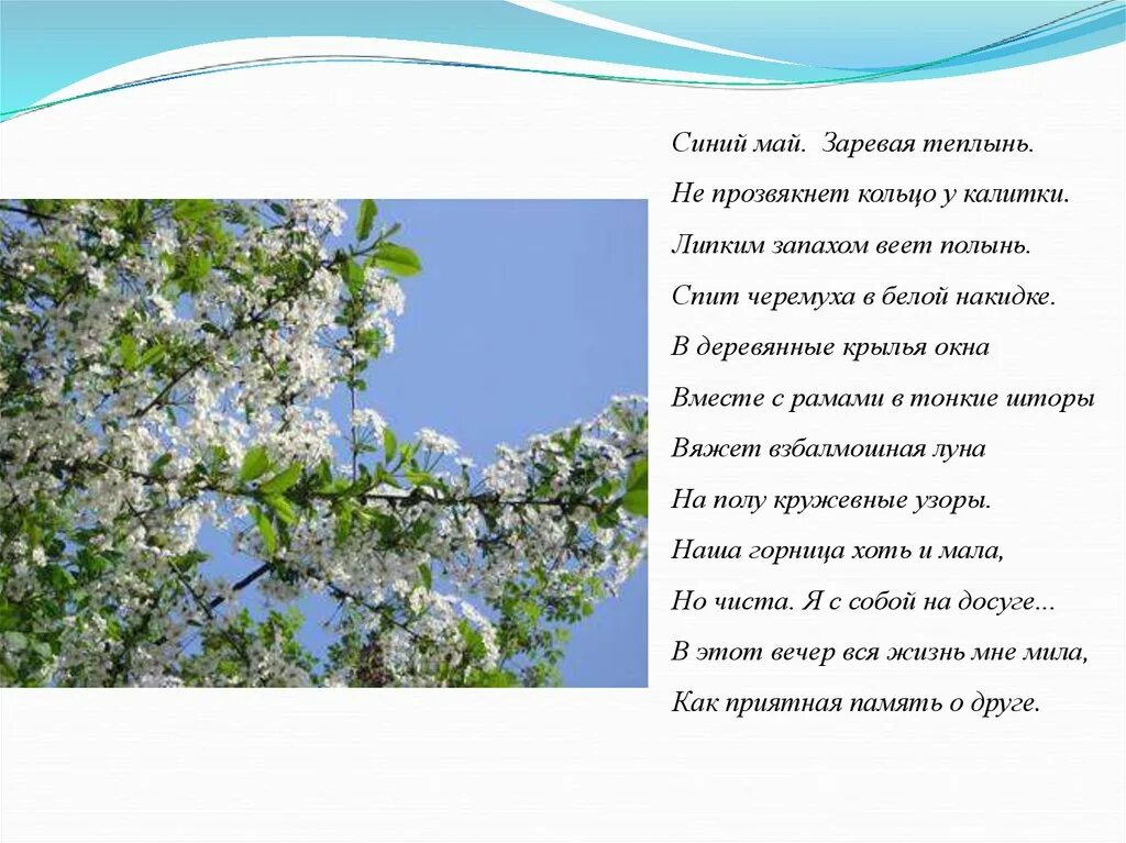 Месяц май. Благоухающая сирень. А за окном месяц май. Мой май картинки. А за окошком месяц май картины.