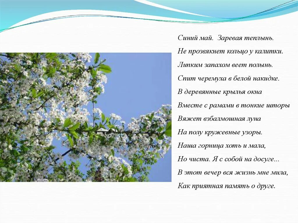 Декабрь май песня. Синий май Заревая теплынь Есенин. Стих синий май. Стих Есенина синий май. Есенин май стих.