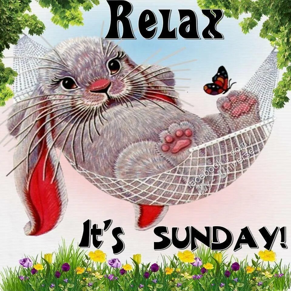 It had sunday. Sunday картинки. хэппи сандей. nice sunday картинки. have a nice sunday картинки.