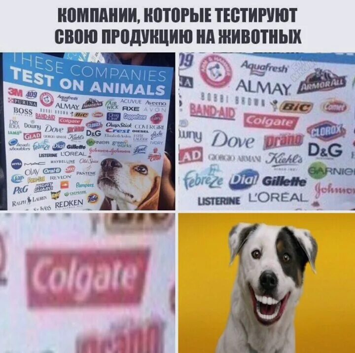 Бренды не тестируемые на животных. Компании тестирующие продукцию на животных. фирмы которые тестируют на животных. фирмы тестирующие косметику на животных. это компании тестируют на животных.