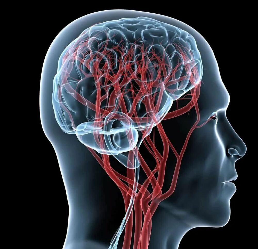 Причины заболеваний головного мозга. Цереброваскулярные заболевания головного мозга.