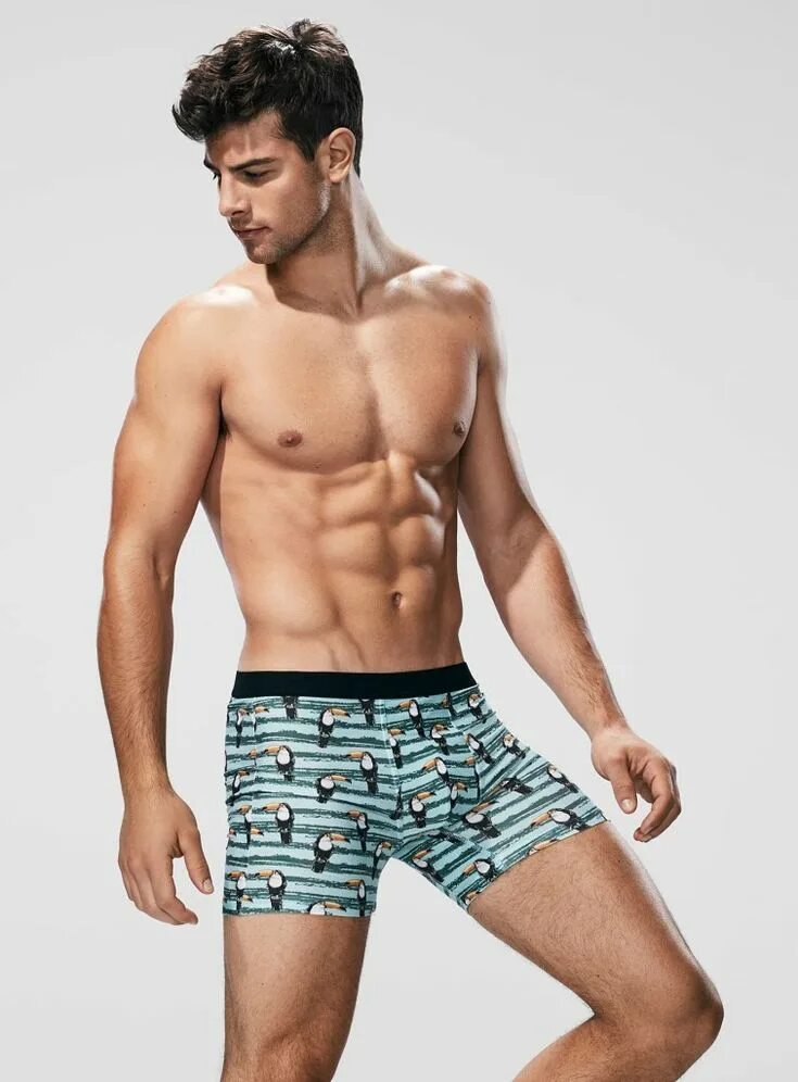 Frank Cammarata торс. Franky Cammarata underwear. Franky Cammarata торс. Каталог мале