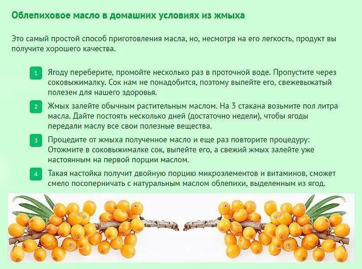 Как сделать масло из облепихи в домашних условиях CoffMachines.ru