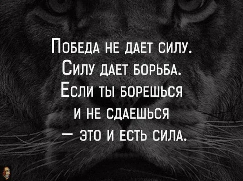 Бороться данный