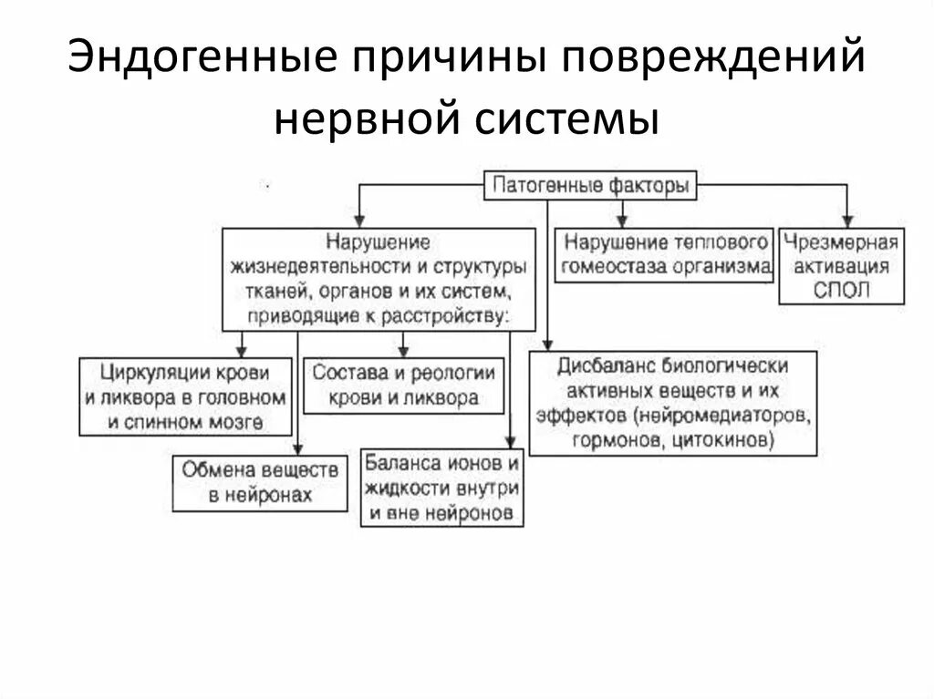 Основные причины нарушения нервной системы. Эндогенные причины повреждения нервной системы. Экзогенные факторы повреждения нервной системы. Экзогенные причины повреждения нервной системы. Эндогенные факторы нарушения нервной системы.