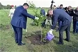 Когда в башкирии сажать картошку 2025. Памятник башкирским конникам (петровское). в башкирии выращивают. предоставляем почетным гостям высадить березки аллее. кого посадили с бишимбаеввмм.