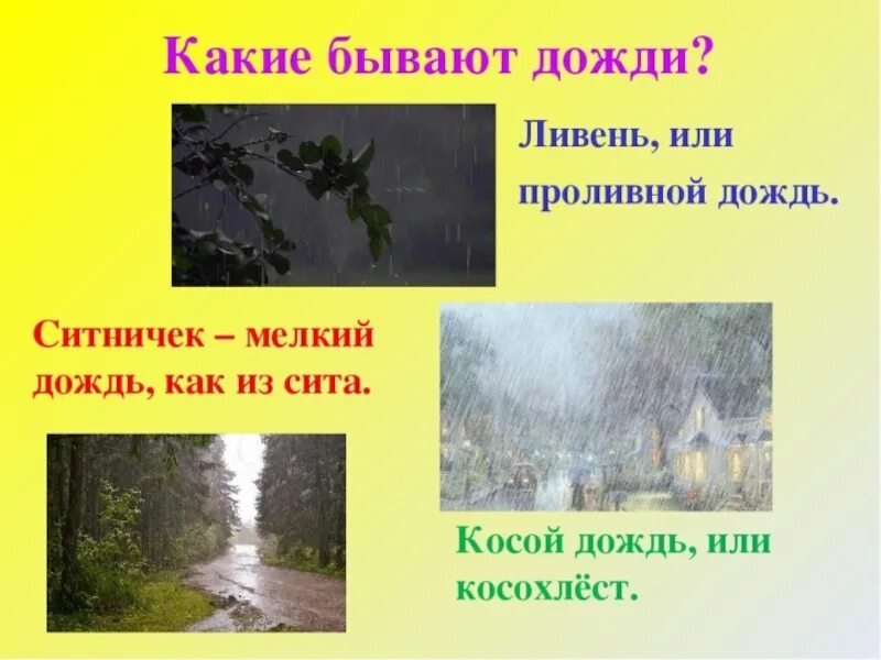 Какой вред от дождя 1. Какие бывают дожди. Описание дождя. Ливень косохлест ситничек. Название дождей.