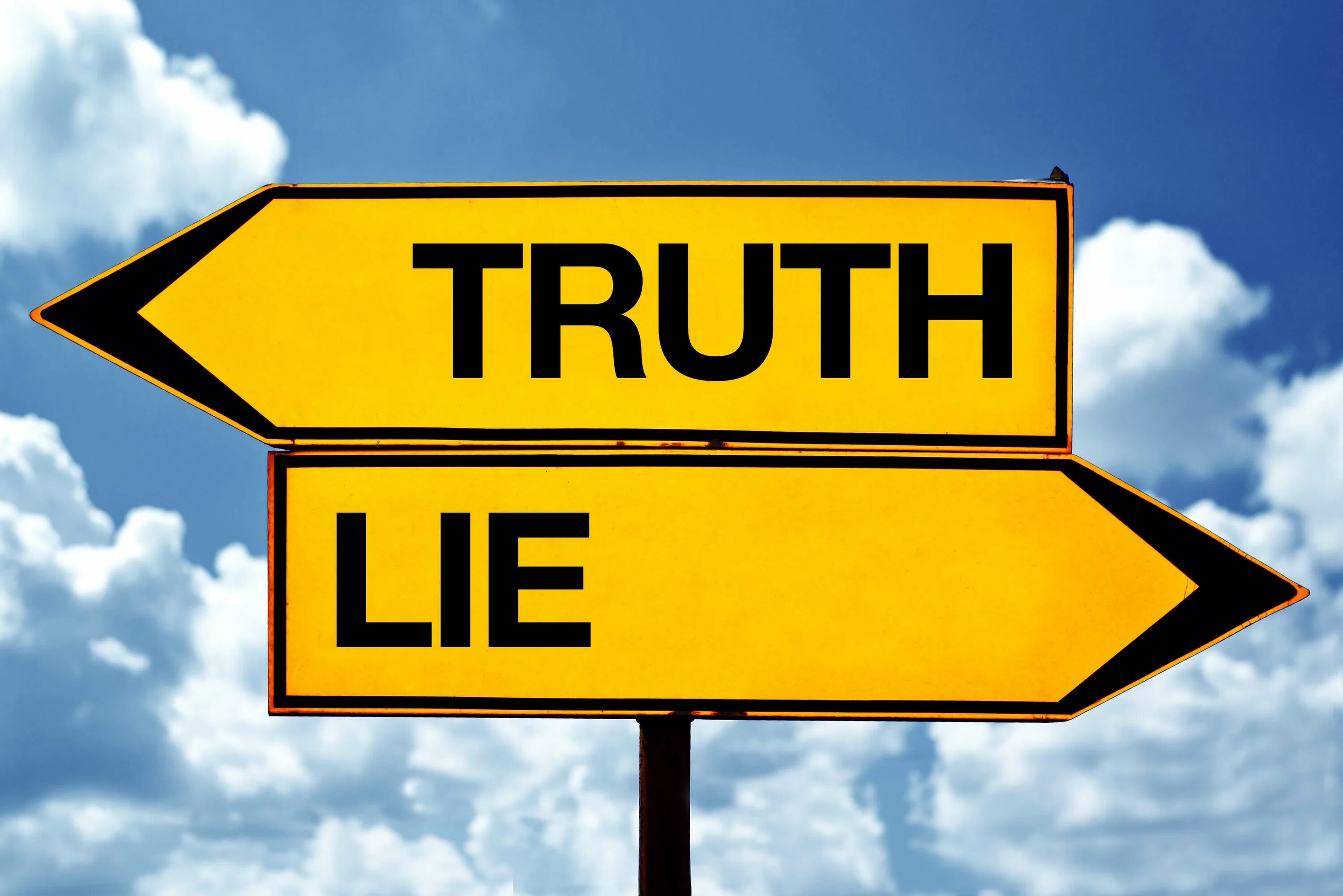 Wie lie. Lies. the lie. 2 true 1 lie. ложь на английском для презентации.