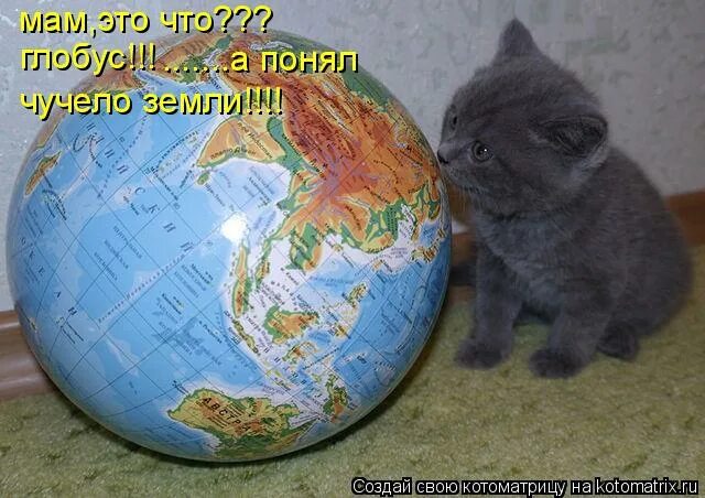 Земля ничем не обработана