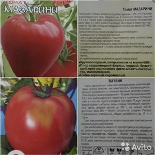 Томаты кировской селекции для теплиц лучшие сорта