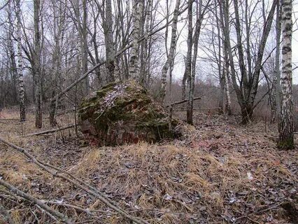 Гисметео калужская область жуковский