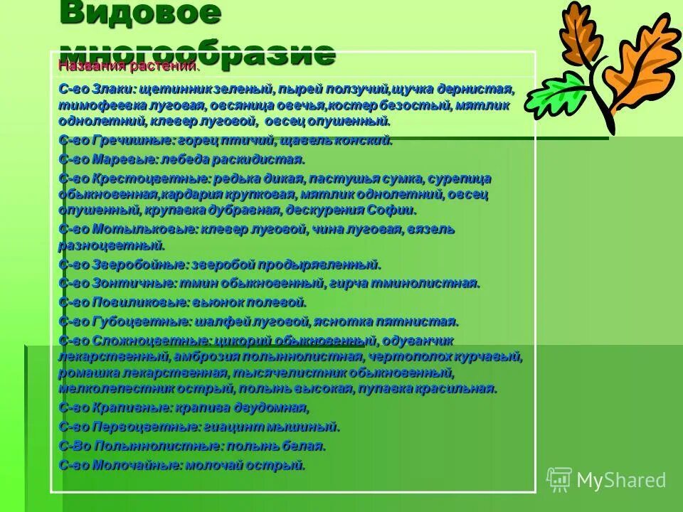 Видовое разнообразие поля. Луг видовое разнообразие. видовое разнообразие растений. видовое многообразие огорода. видовое разнообразие на лугу поле.