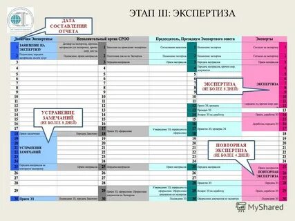 Дата экспертиза