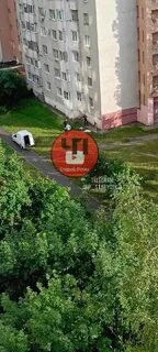 Чп старый оскол телеграмм