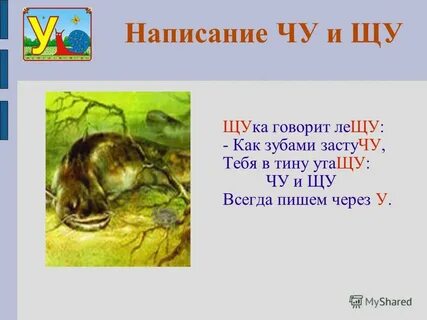 Где жи