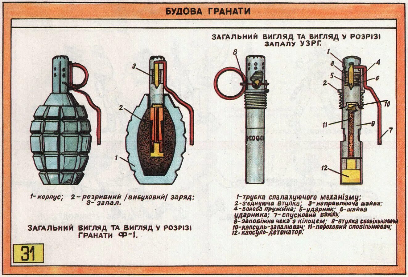 Как отличить граната. Граната Лимонка ф1 характеристики. Детали гранаты ф1. Граната ф1 ТТХ. Ручная граната ф1 схема.