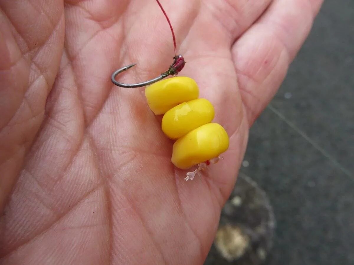 Ловить рыбу наживка. Ловить рыбу наживка. Приманка на сома. Насадка живца на крючок. Кукуруза на волосяной оснастке.