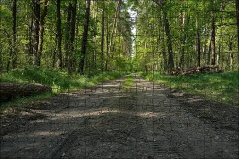Лесной без
