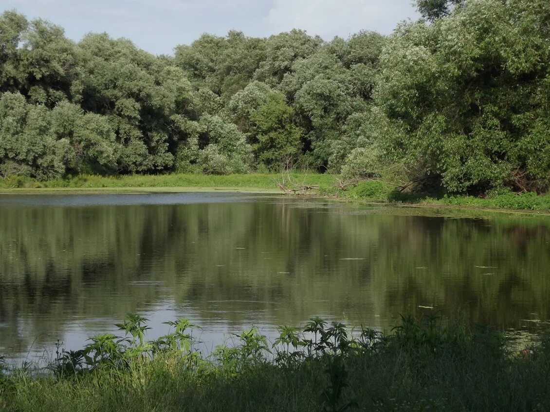 Blue Lake by viterko Blue lake, Lake, Landscape