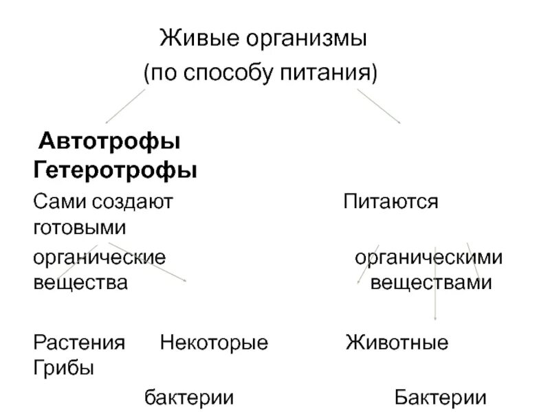 Организмы питающиеся живыми организмами это. Типы питания живых организмов. Способы питания организмов схема. Живые организмы по способу питания. Типы питания живых организмов 6 класс.