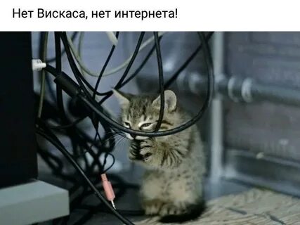 Поешь интернет