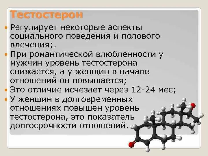 Тестостерон отпускаю. Тестостерон регулирует. Тестостерон основные функции. Тестостерон регулирует сперматогенез. Тестостерон и социальное поведение.