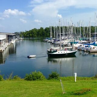 Harbor less