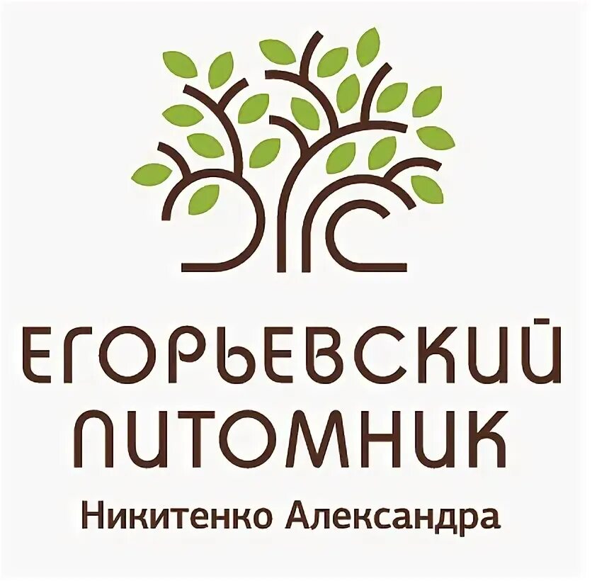 Сайт питомник никитенко. Питомник растений в Егорьевске Никитенко. Алешино Егорьевский район питомник.