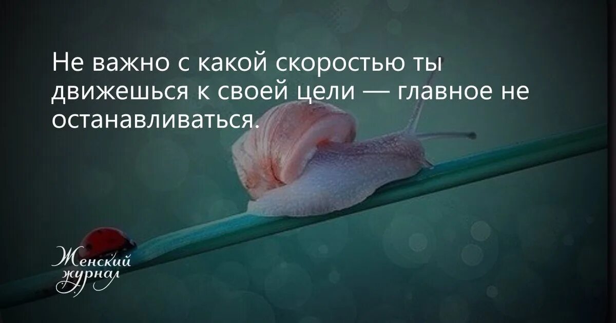 Цитата неважно. Медленно но к цели. Медленно но верно идем к своей цели. Цитаты про цель. Цитаты чтоб прийти к цели.