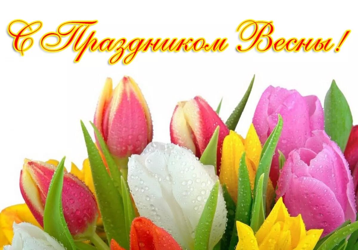 Женский день прекрасный праздник. С 8 мартом тюльпаны. Женский день прекрасный праздник. Женский день прекрасный праздник. Женский день прекрасный праздник.