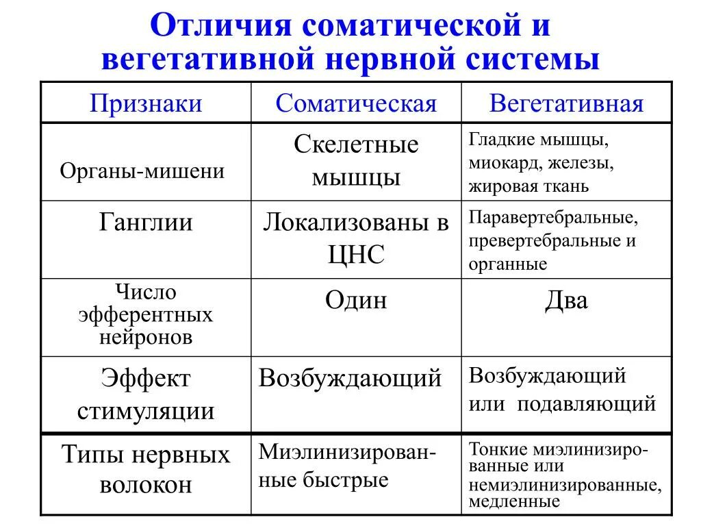 Признаки отличающие строение. Отличия вегетативной нервной системы от соматической таблица. Характеристика соматической и вегетативной нервной системы. Сравнительная характеристика отделов вегетативной нервной системы. Характеристика соматической и автономной нервной системы.